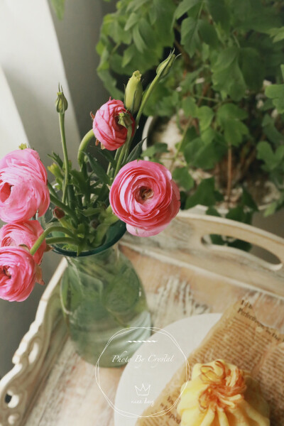 女神节～❤️～一点甜
草莓鲜奶蛋糕
原味与巧克力芝士福袋
❣️女神节快乐️❣️