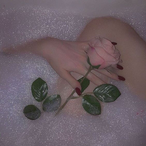 玫瑰花背景图