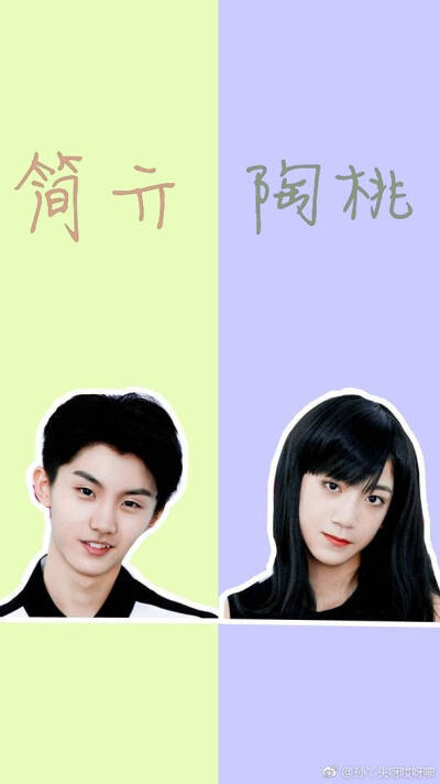 tf家族