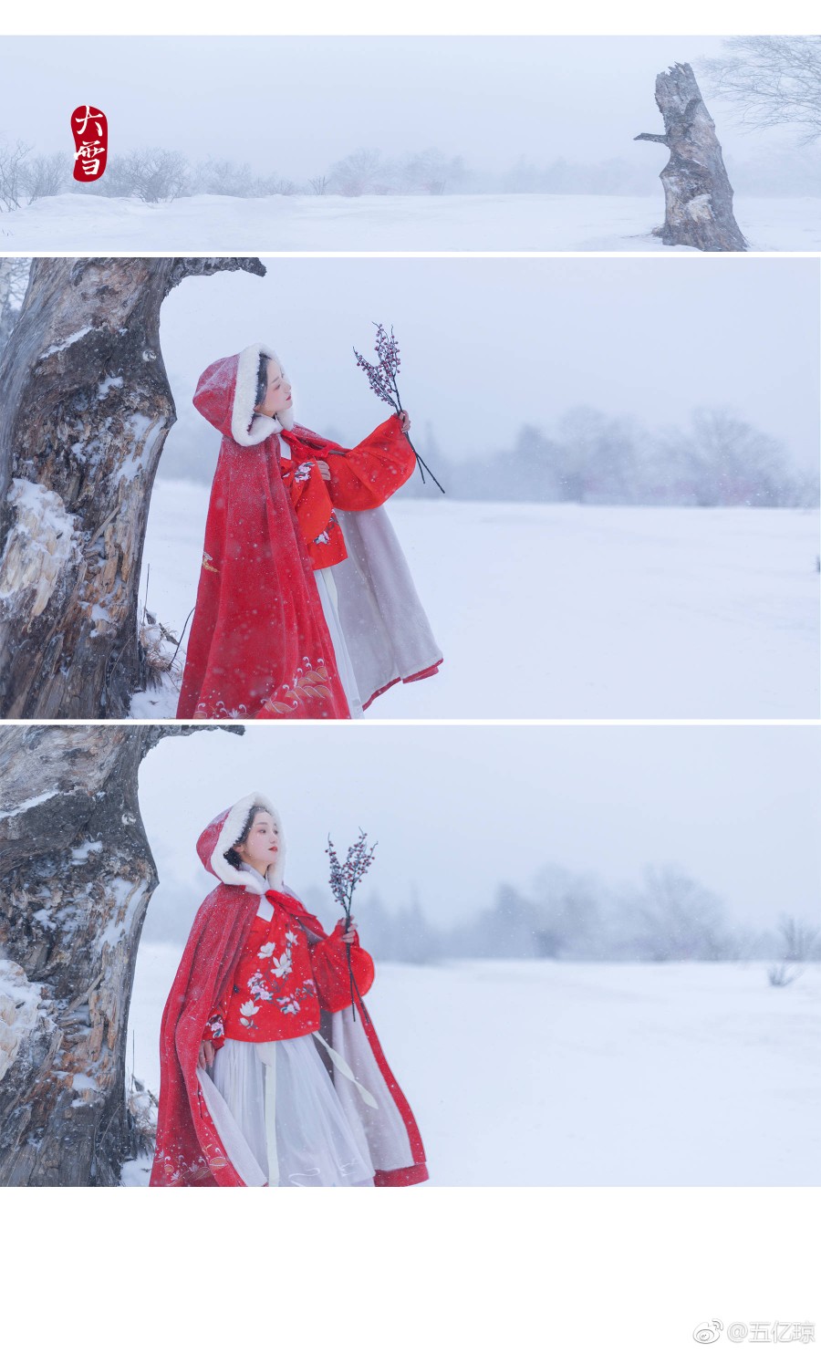 《如梦令·山野》
前夜北风恋树，一卷紫苏迟暮。
犹记少年郎，两鬓雪花罗舞。
知否。知否。
敢问山神归处。
———南寻
摄影/后期/妆造：@五亿琼
出境：@太白的球球
文案：@南寻
汉服：斗篷@停云流光汉服
#东阳约拍##横店约拍##杭州约拍# ​