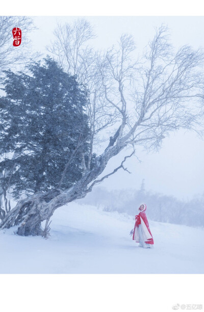 《如梦令·山野》
前夜北风恋树，一卷紫苏迟暮。
犹记少年郎，两鬓雪花罗舞。
知否。知否。
敢问山神归处。
———南寻
摄影/后期/妆造：@五亿琼
出境：@太白的球球
文案：@南寻
汉服：…