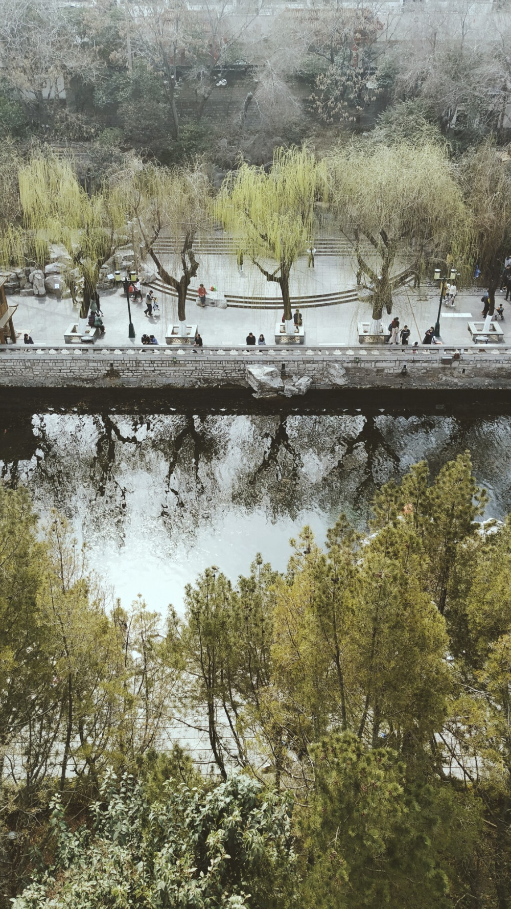 几年后，又再次来到济南，又再次来到黑龙潭。
当初带我来这里看夜景的朋友已经结婚，不便再当我的向导。当时是冬天的一月，如今是三月。
家家泉水，户户垂柳。小鸟已被春天唤醒，桃树也已开出花骨朵。黑米夹心的冰糖葫芦，真是好吃至极。
以及，让我心花怒放的，阿姨奶茶店的芝心柚柚茶。我在窗口等待时，看到老板娘摆在小屋内的深紫色雏菊，以及吊起来的四盆绿萝。她跟两个店员小姑娘说：“把红柚切成爱心的形状，不是为了更好吃。而是看起来更有美感噢。生活就需要仪式感嘛。”
她把做好的奶茶，递到我手中：“你尝尝看，这个温度正适合你。”
于是我又回来这条清澈见底的护城河，坐在栏杆旁，晒晒初春的太阳，看看娇羞的迎春花。
这个是一个值得被放慢的周六。属于我自己。