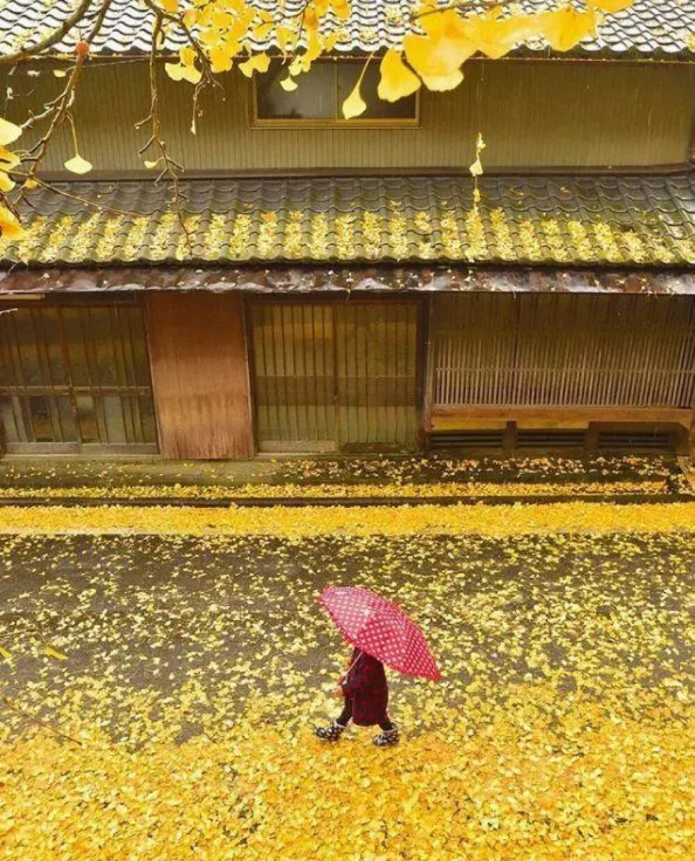 温馨