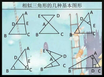 初中数学公式