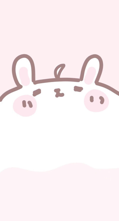 兔兔(๑• . •๑)