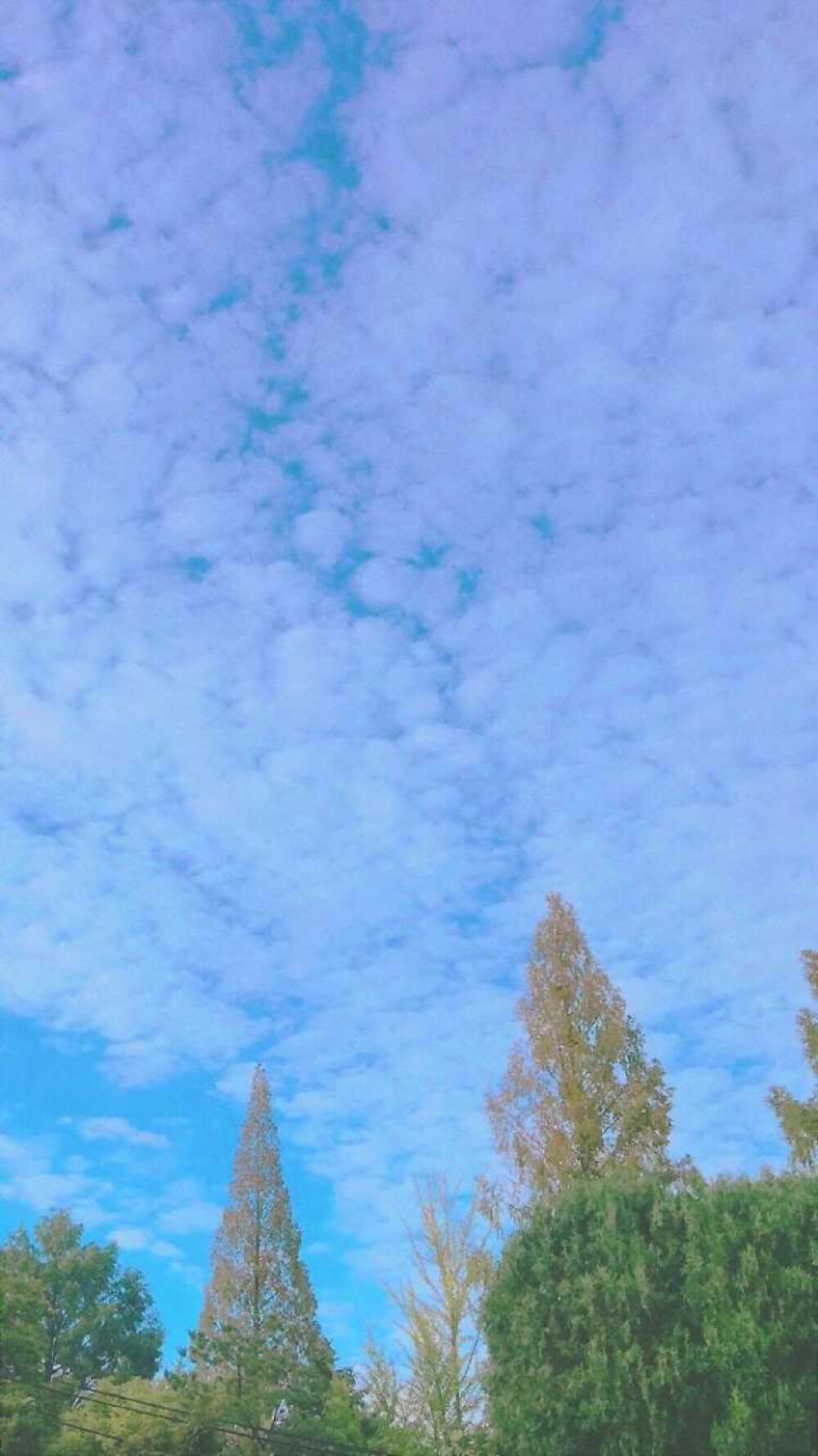 蓝天白云☁