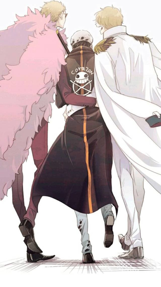 明哥
罗
柯拉松