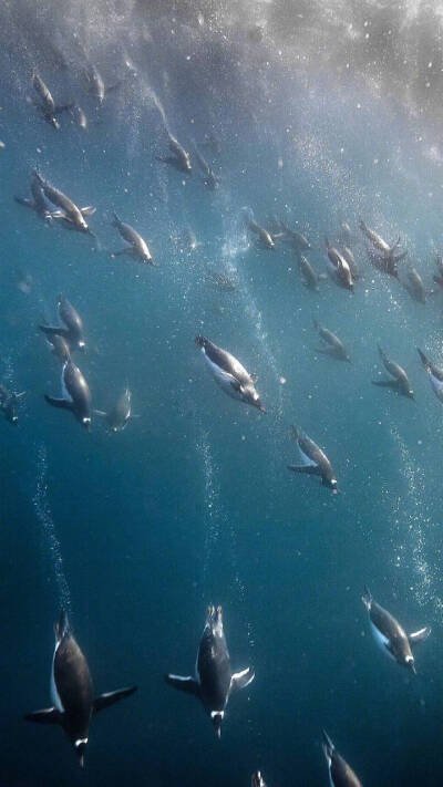 壁纸‖对这种深邃蔚蓝的壁纸真的是毫无抵抗力，妈呀我的最爱