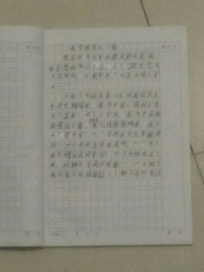 这遍作文是我第一遍难作文。