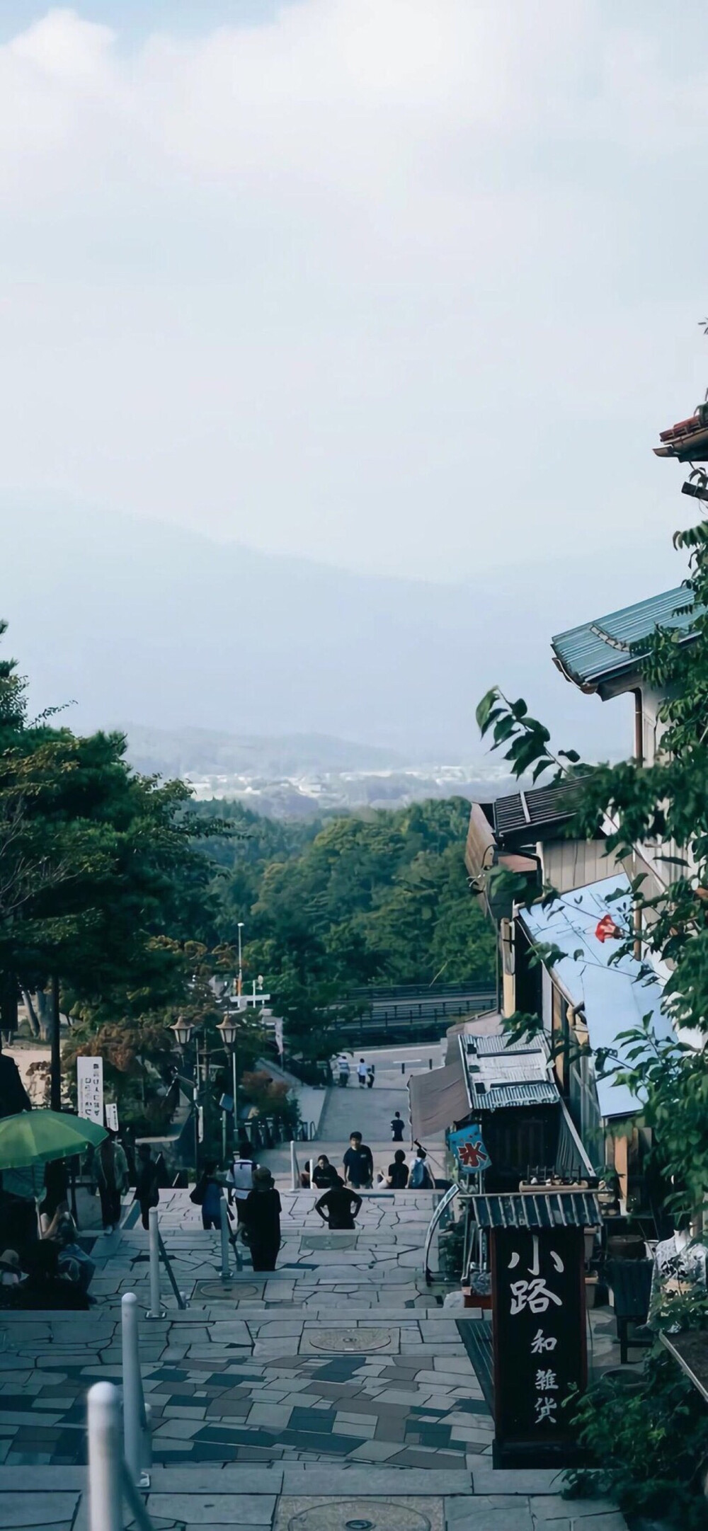 壁纸简约绿