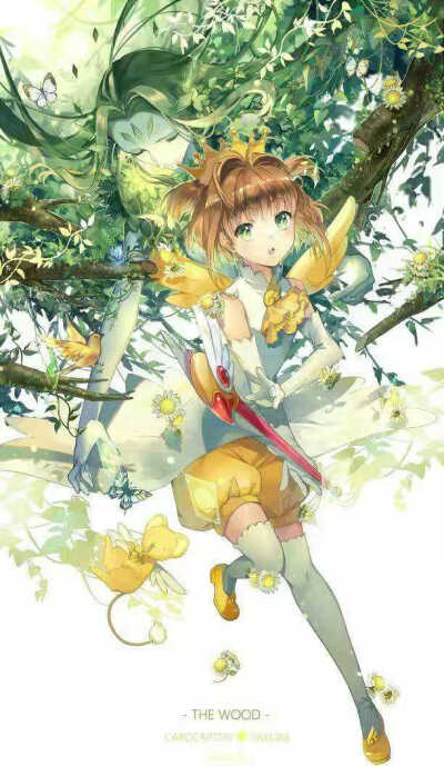 百变小樱魔术卡