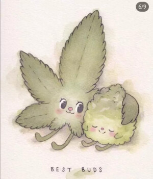 水彩
动物  精致 唯美系
可爱  微难  新手进阶画