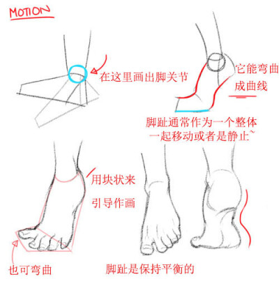 图片来源于网络
侵权致歉
