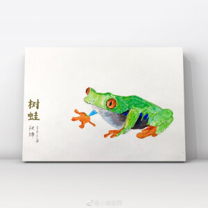 《树蛙》 ​​​​