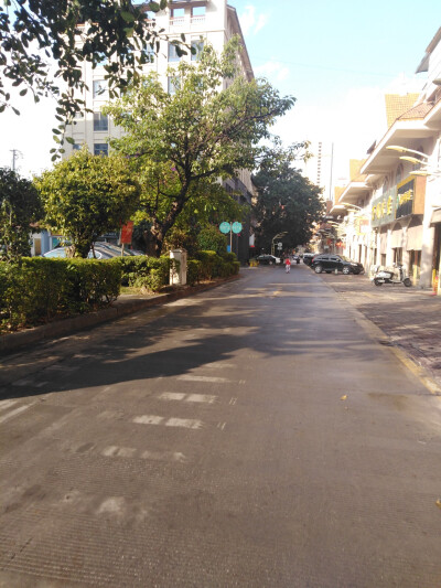 走了十一年的路