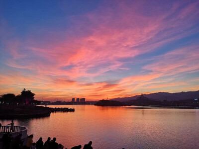 离新一家最近的公园