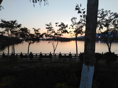 离新一家最近的公园