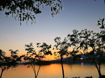 离新一家最近的公园