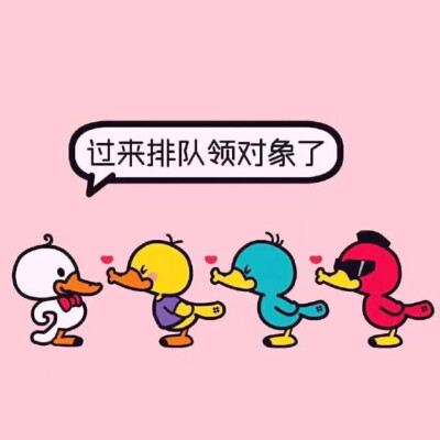 我在这里等风也等你～