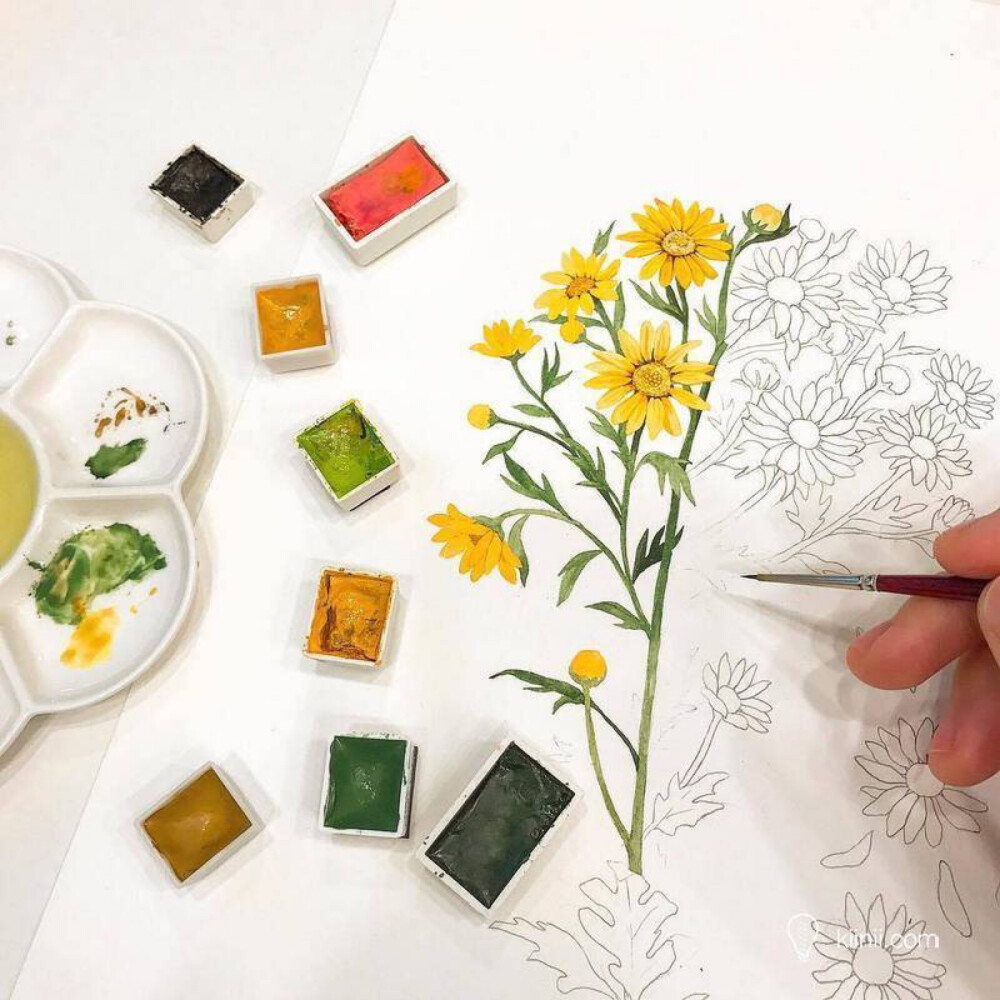 插画师 Yirang Kim 水彩花卉