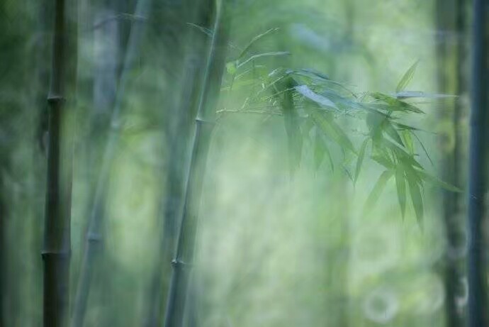 缓歌慢舞凝丝竹，尽日君王看不足。