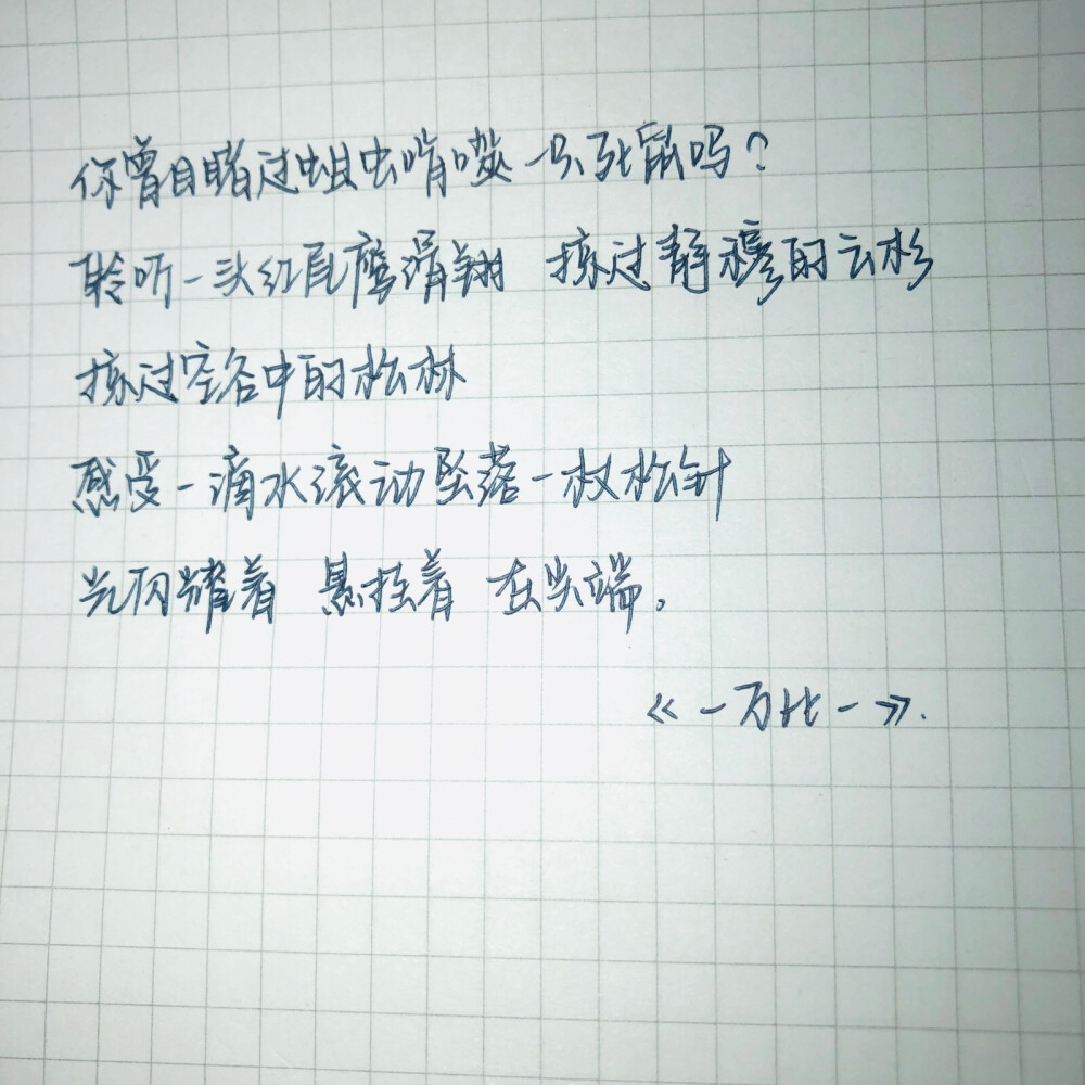 练字 手写 摘抄 文艺
喜欢的句子些