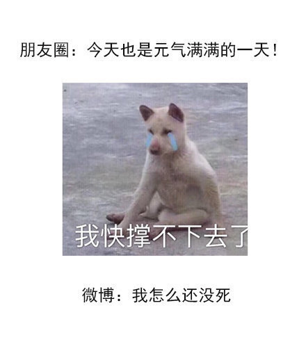 #从不在朋友圈崩溃的人#在微博上可能就不一样了