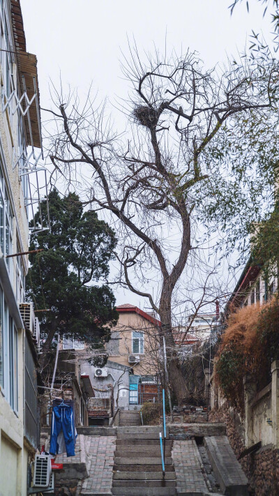 昨天在青岛八大关转了转，天气不是很好，所以没什么人，显得有点冷清。不过可以想见，春夏秋这里应该都非常漂亮～