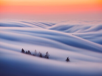 美国加州Mount Tamalpais State Park的梦幻雾浪