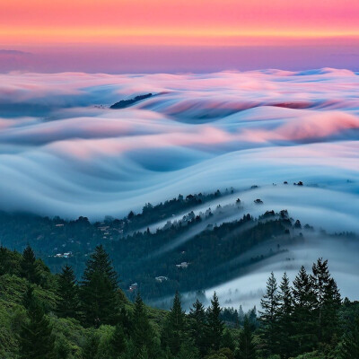 美国加州Mount Tamalpais State Park的梦幻雾浪