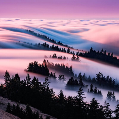美国加州Mount Tamalpais State Park的梦幻雾浪