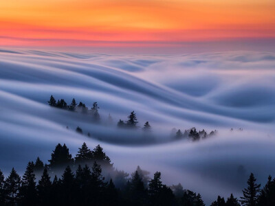 美国加州Mount Tamalpais State Park的梦幻雾浪