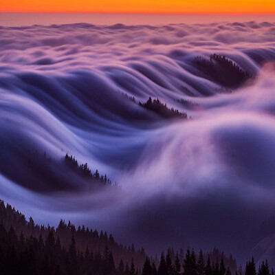 美国加州Mount Tamalpais State Park的梦幻雾浪