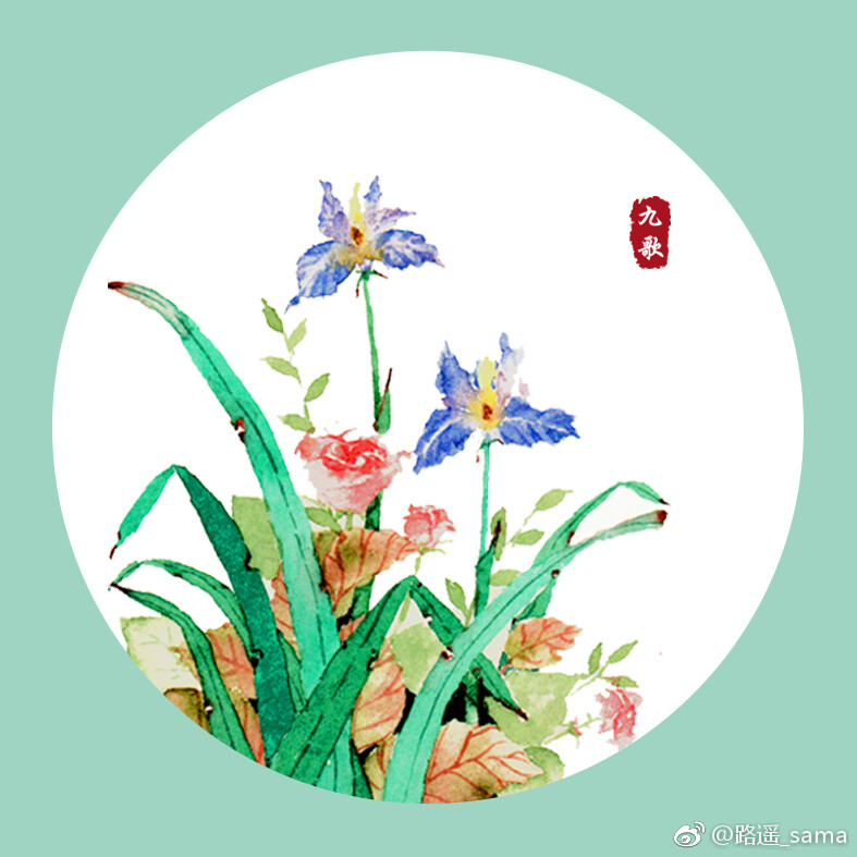 一组花草~ （作者： 路遥_sama ）