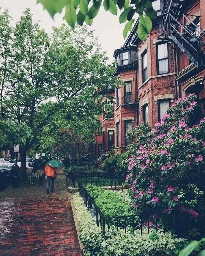 波士顿的住宅街道，有机会去看看。 ​ ​​​