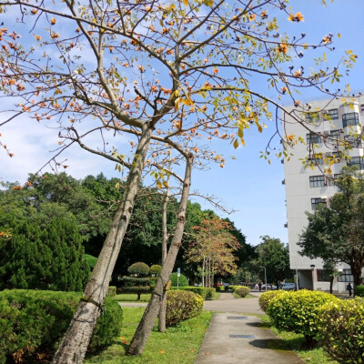 不同天氣下 校園的不同角落
總是走著走著就想拍下的景色
在最後的一年多裡
把每一處都盡收眼底
喜歡 my unique campus