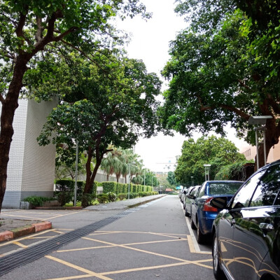 不同天氣下 校園的不同角落
總是走著走著就想拍下的景色
在最後的一年多裡
把每一處都盡收眼底
喜歡 my unique campus