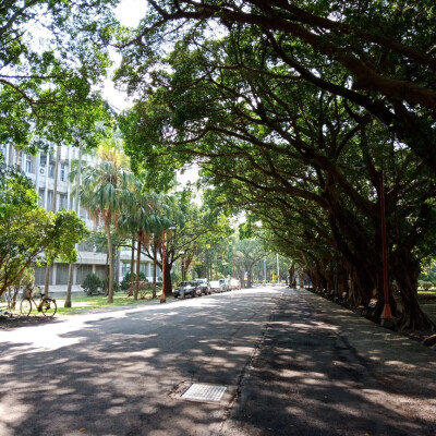 不同天氣下 校園的不同角落
總是走著走著就想拍下的景色
在最後的一年多裡
把每一處都盡收眼底
喜歡 my unique campus