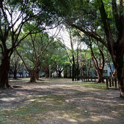 不同天氣下 校園的不同角落
總是走著走著就想拍下的景色
在最後的一年多裡
把每一處都盡收眼底
喜歡 my unique campus