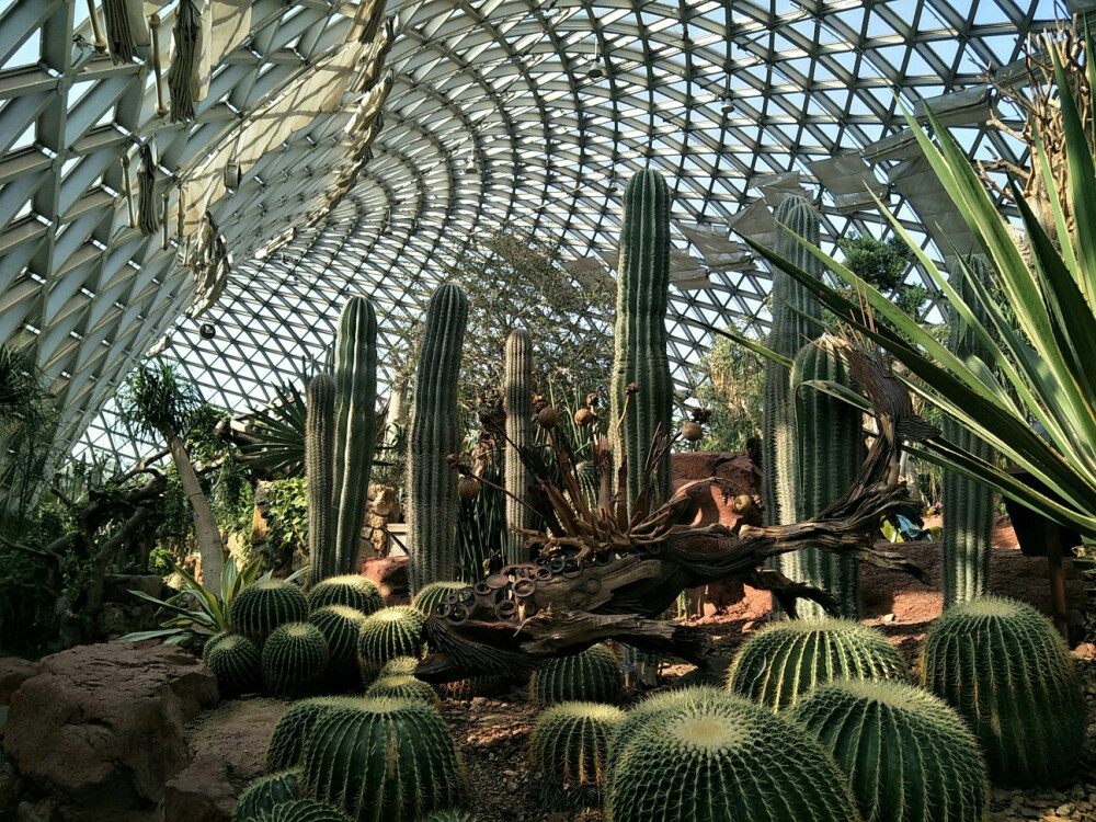 上海辰山植物园沙生植物馆