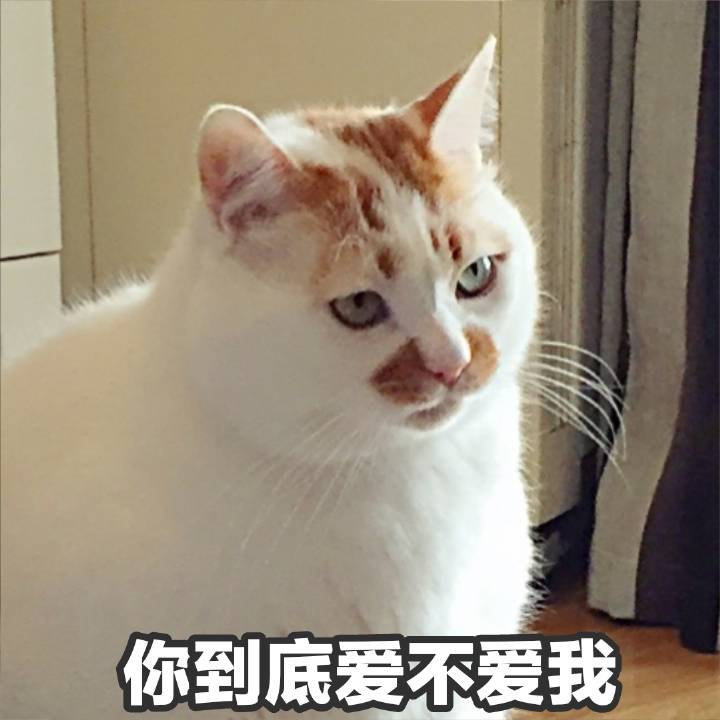 楼楼