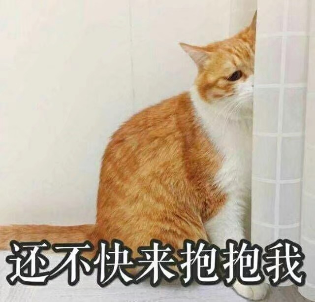 表情包