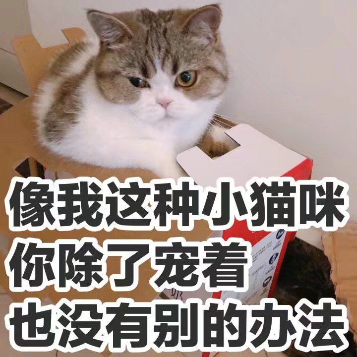 表情包