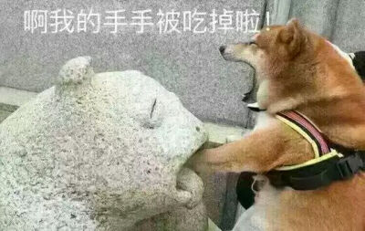 表情包