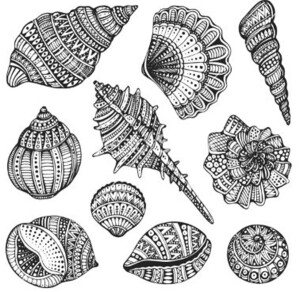 画