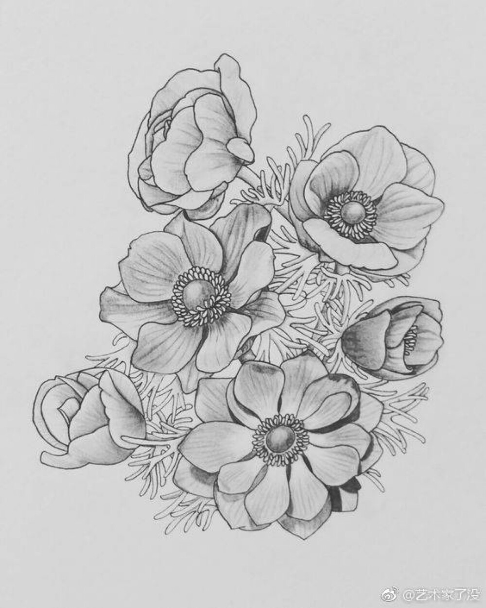 线描画花朵复杂图片