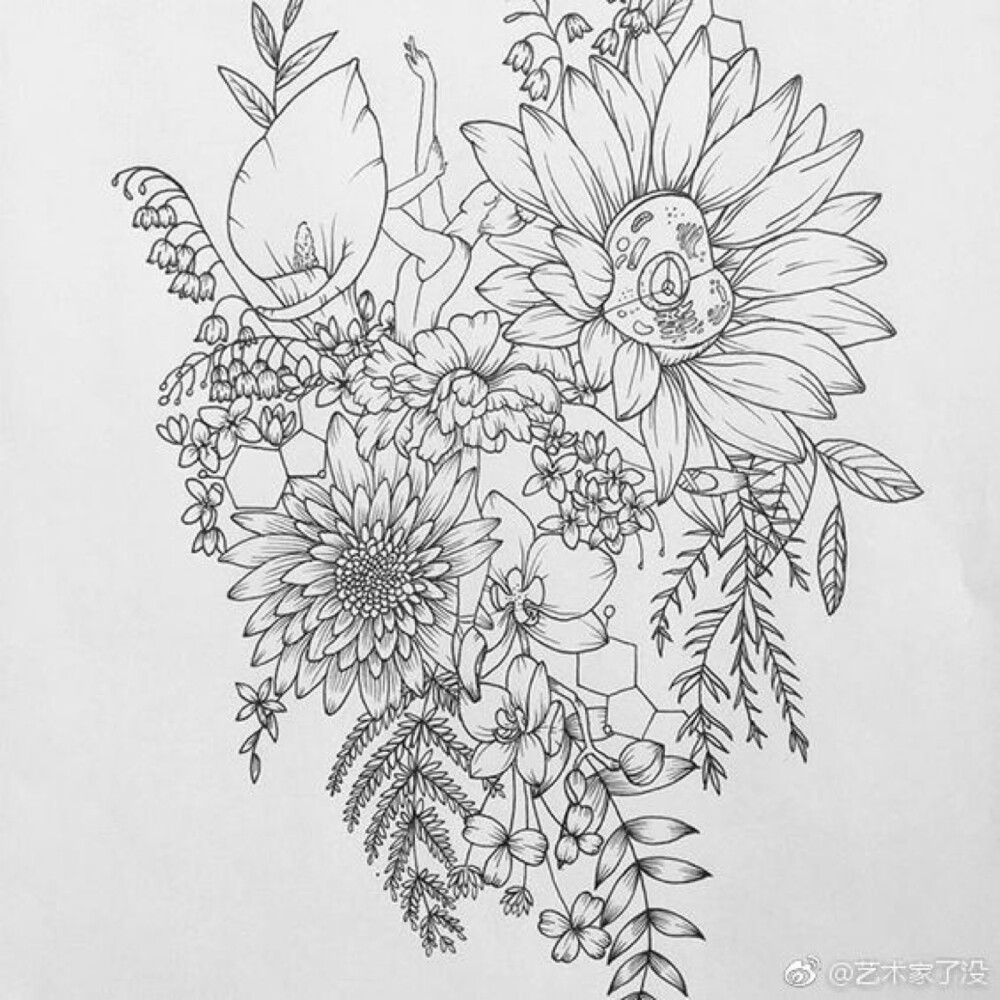 线描花卉