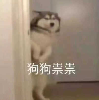 沙雕表情包