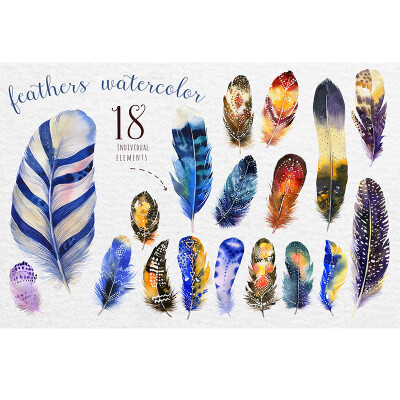 25 手绘水彩羽毛 波西米亚风唯美多彩羽毛设计素材 平面设计PNG