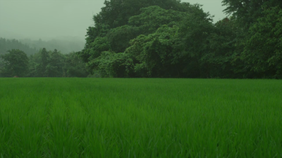 ( ˶‾᷄࿀‾᷅˵ )